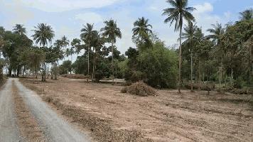 รหัสทรัพย์ 09 พร้อมจับจอง ที่ดินริมทะเลติดหาดสมุย 6 ไร่ 3 งาน 87 ตร.ว. ดื่มด่ำวิวพระอาทิตย์ตก 